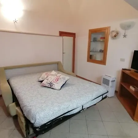 Cassiopea 4*